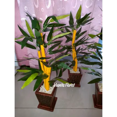 TANAMAN HIAS MEJA BAMBU KUNING SATU PAKET DENGAN VAS TINGGI 40 CM