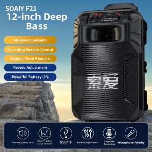 soaiy | High Power Portable Bluetooth Speaker With Trolley for Outdoor Dancing