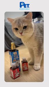 Pet Perform น้ำมันปลาทูน่าผสมน้ำมันคริลล์แท้ 100% สกัดแบบ Premium นำเข้าจากประเทศ Norway 🇳🇴 สำหรับสุนัขและแมว มี Astaxanthin และ Omega-3 DHA EPA