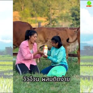 ขุนบำรุง ขนสวย ผิวเป็นมันเงา สัตว์แข็งแรง โตไว เนื้อแน่น อาหารเสริมบำรุงวัวควาย ฟาสท์ไคโตซาน ฝาเหลือง3ขวด ไคโตซานสัตว์ ใช้ได้ดีกับสัตว์ทุกชนิด ส่งไว