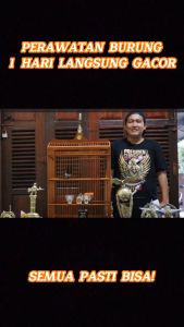 XFIGHTER PENGGACOR VITAMIN SEMUA BURUNG BERGARANSI