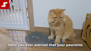 Smartpaw Premium Smart Pet Feeder Gen 3 (WiFi) | App-Customized Feeding + 4L Storage + Dual-Band WiFi for Cats & Dogs | 1-Year SG Warranty