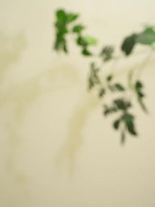 VETES | Fruit Acid Whitening Exfoliating Scrub Body