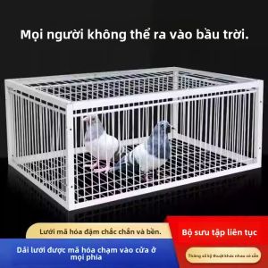 Cage Rơi Tự Động Ngoài Trời Cửa Đập Thu Thập Chăn Gia Cầm Ngoài Trời Thu Thập Chỉ Vào Không Ra Phiên Bản Mã Hóa Cage Chăn Gia Cầm Tự Động