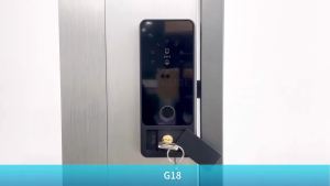 RAYKUBE G18 Tuya Bluetooth Smart Door Lock Fingerprint Electronic Digital Lock APP/IC Card/Password Unlock For Steel/Wooden Door