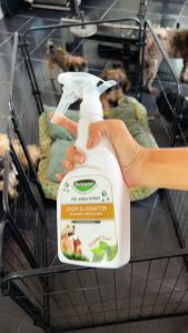 PETZYME Pet Area Spray Bergamot scent Odor Eliminator/ Disinfectant & Cleanser (500ml)