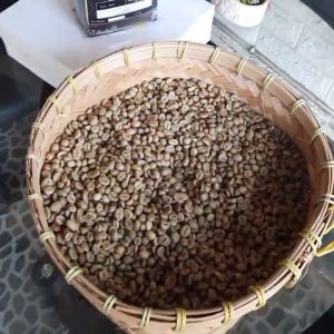 ( 300gram ) Biji Kopi Mentah