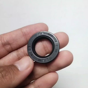 Seal 17 28 6 Tc Nok Seal Puli Mio Seal Gear Depan RC INB Original Nok