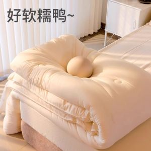 Thickened Soy Fiber Winter Quilt Durable Student Dormitory Use Warm Spring Autumn Air Conditioning Quilt Non-Allergenic Allergy Free