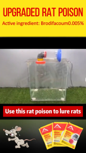 ⚡️No mice Within 500 Meters⚡️ rat poison Rat Killer Poison Rat Killer Bait 老鼠药 Rat Trap Catcher Mouse Repellent for House Harmless to People and Pets Powerful Rat Poison Rat Killer Indoor Outdoor Mouse control 100% Effective