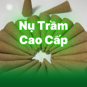 [Tặng lư xông] Nụ trầm 15 năm Mộc Vô Ưu trầm hương miếng thô tự nhiên thơm nhà thư giãn cháy lâu 15-20 phút