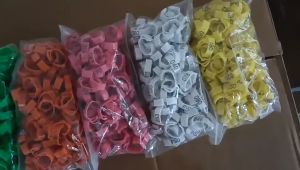 ห่วงขาไก่ ห่วงขาไก่ชน ถุง100ชิ้น เรียงตามตัวเลข 001-100 ทำเครื่องหมายไก่ ไก่ชน เป็ด ห่าน ห่วงขาปรับขนาดได้