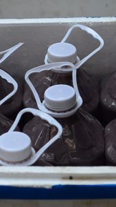 Can 5l mắm tôm đặc sản Ba làng - Thanh Hóa chuyên sử dụng nhà hàng mắm ngon đặc sánh dậy mùi thơm vị dịu và rất dễ pha (nhãn hiệu A-Truy)