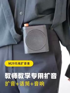 Zehco Wireless Microphone Speaker 2 Mic Bluetooth Voice Amplifier Teacher Tour Guide Loud Voice