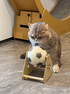 Cat Toy Sisal Cat Scratching Ball Vertical Wear-Resistant No Flaking Self-Entertainment & Stress Relief Claw Sharpener Cat Scratcher Toy Ball