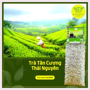 Trà Tân Cương Thái Nguyên Đặc Biệt - 500g