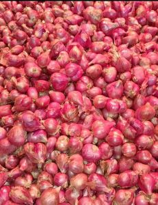 Bawang Merah 1Kg Super Fresh Termurah