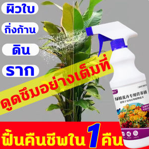 อาหารเสริมสำหรับพืช ปุ๋ยเร่งดอก 500ml ต้นไม้งาม บำรุงต้นไม้ เร่งราก คืนสภาพต้นไม้ ปุ๋ยเน้นดอกไม้ บำรุงต้นไม้ให้แข็งแรง ฮอร์โมน เร่ง ดอกผล ปูนุซิบาล การกุ้ง 500ml