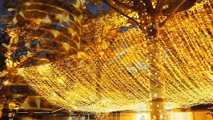 AKO Bright 100LED String Lights Christmas Tree Decoration Steady Mode Energy-Saver Weather Resistant Indoor Outdoor Use