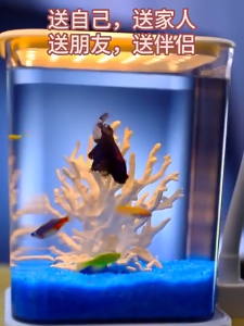 2 In 1 Glass Fish Tank with Night Light Betta Fish Aquarium Desktop Decoration Small Fish Bowl Viewing Lamp Office Mini Aquarium
