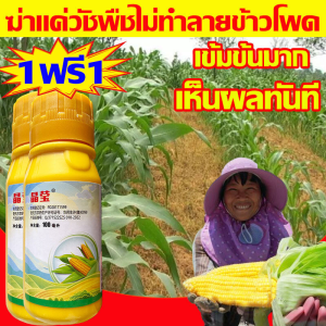 ใช้1ครั้ง นาข้าวโพด50ปีไม่มีวัชพืช ยาฆ่าหญ้าข้าวโพด100ML 1แถม1 สูตรทนฝน เข้มข้นสุดๆ เห็นผลทันที ยาชุดข้าวโพด ฆ่าหญ้าข้าวโพดฆ่าแค่วัชพืช ไม่ทำลายข้าวโพดและอ้อย ยาฆ่าหญ้าในข้าวโพด ยาฉีดหญ้าข้าวโพด ยาฆ่าหญ้าไร่ข้าวโพด ยาฆ่าหญ้าในไร่ข้าวโพด ยาคุมหญ้าในข้าวโพด