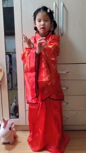 Hanfu Chinese Costume For Girls Kids United National Costume For Halloween Costume Tang Suit Dance Performance Costume