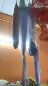 Tay lưới thái thả cá 3 màng loại 1 mắt lưới 6 phân chiều cao 1mét