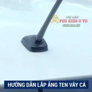 Ăng Ten Vây Cá Đế Gioăng Cao Su Chống Nước Siêu Chắc Chắn