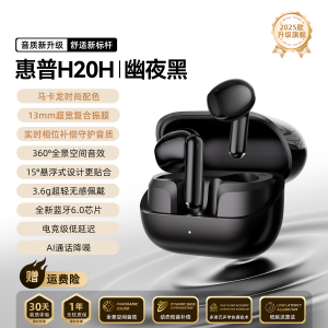 High Quality Bluetooth Earphones HP2025 New Model Wireless Half In-Ear Suitable for Apple Huawei Xiaomi Music And Call Function