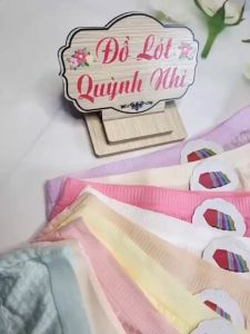 Combo 10 Quần Lót Nữ Thun Cotton Đuôi Ren Co Giãn Thoáng Mát Thấm Hút Mồ Hôi Size 45 - 58 Kg  [0715]- Đồ Lót Quỳnh Nhi