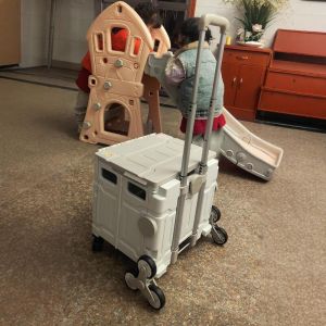 Foldable Shopping Cart Small Vegetable Buying Hand-Pulled Cart Portable Household Stall Selling Tool Versatile Compact Caddy