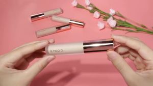 O.TWO.O Full Liquid Concealer 4 Color Natural Coverage Cushion Concealer Eye Liquid Long Lasting Performance Oil-control Foundation Cover Dark Circles Full Coverage Suit for All Skin Face Makeup