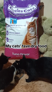 22kg Cuties Catz Premium Dry Food All Stages Adult Kitten Supports Digestive Function Pet Essentials