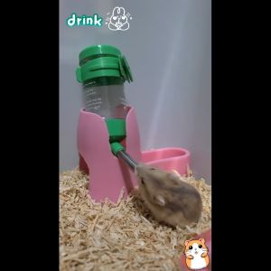 Bottle Stand Multifungsi 2 in 1 Tempat Makan dan Minum Hamster