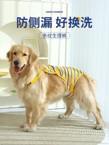 Large Dog Physiological Pants Female Dog Heat Protection Pants Prevent Spaying Labrador Golden Retriever Menstrual Pants Aunt Flow Prevent Shedding Pants