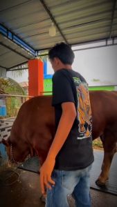 Kaos Peternak Milenial Sapi Limosin TEAM POEL Pejuang 1 ton
