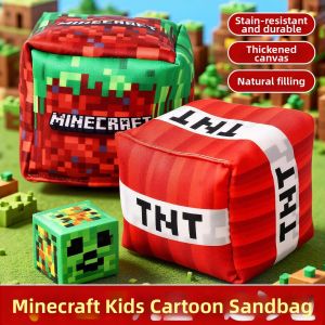 LIKE | Durable Canvas Childrens Sandbag Toy