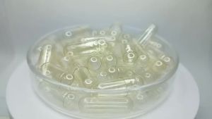 1000PCS clear hollow capsules/high quality hollow capsules