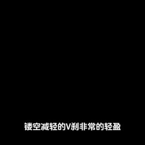 Meroca | Customizable Foldable Bike Brake For Fengxing P8