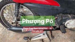 ⚡️FREESHIP⚡️ Pô Đam Cúp Đen móc nỉ hơi UMA tiếng ấm cho DREAM-CÚP-WAVE NHỎ (đọc mô tả)