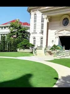 Thảm Cỏ Nhân Tạo Giả Thực Tế 2025 Dùng Trong Nhà Ngoài Trời Kích Thước 50x200cm Dành Cho Sân Vườn Cảnh Quan Ban Công Trang Trí