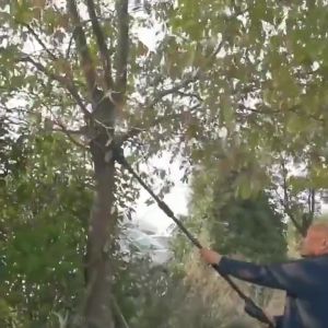 🚀รับประกัน 10 ปี🚀ยาว5เมตร เลื่อยตัดกิ่งไม้ เลื่อยยนต์ เลื่อยไฟฟ้าไร้สาย เลื่อยโซ่ไร้สาย เลื่อยไฟฟ้าตัดกิ่งไม้ กรรไกรตัดกิ่งไม้