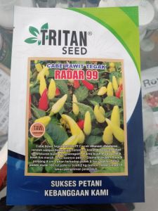 Benih Cabe Rawit Tegak RADAR 99 Original Tahan Antraknosa Tahan Virus
