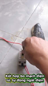 Aptomat RCCB Chống Giật Chống Rò CB ASE AS20 2P 20A 32A 40A 50A 63A 30mA 220V