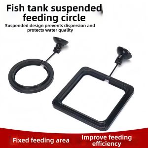 LIKE | Large Floating Feeding Ring