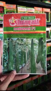 Benih HANOMAN F1 10 Gram Bibit Unggul Oyong Gambas BINTANG ASIA