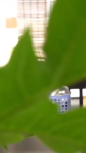 Vòi Rửa Chén Bát Cổ Mềm - Xoay 360 Độ Inox 304 Cao Cấp