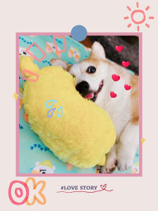 Little B Kid Big Head Funny and Practical Original Sesame Street Pet Toy Dog Pillow Sound Accompany Stuffed