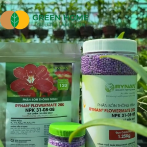 Phân Tan Chậm GreenHome Rynan 200 Hũ 125kg Dành Cho Phong Lan Con Bonsai Kích Chồi Dưỡng Chất