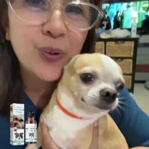 Pet Mouth Cleaning Foam Natural Plants Tartar Remover Cleaning Bad Smell Tongue Pet Accessories Dogs And Cats Oral Cleanse Foams